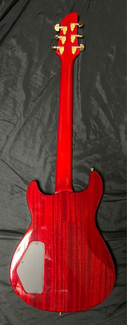 【Fernandes】APG-100