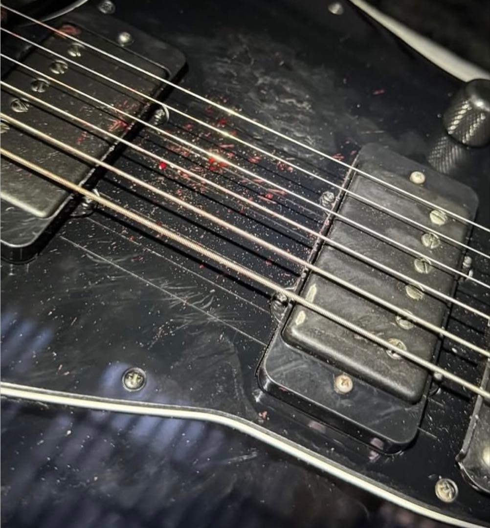 HAMCO Guitar Shop　オーダーデザイン確認用ページ