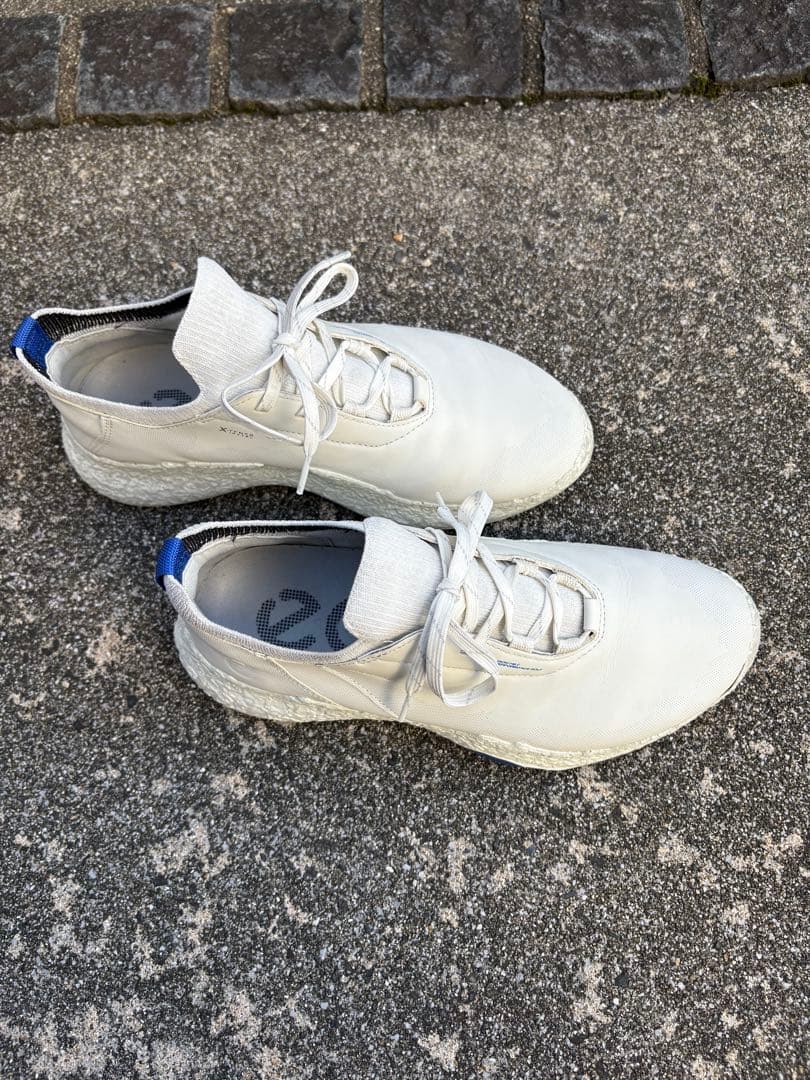 ecco BIOM H5 ゴルフシューズ　サイズ39