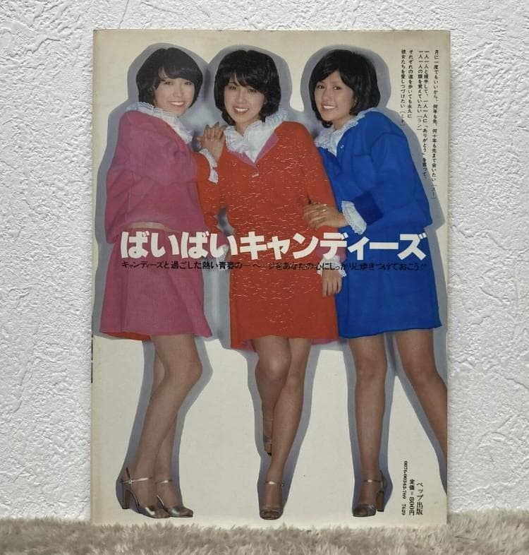 ☆☆当時物【キャンディーズ】お宝グッズ まとめ売り トレーナー/写真集/バッジ他