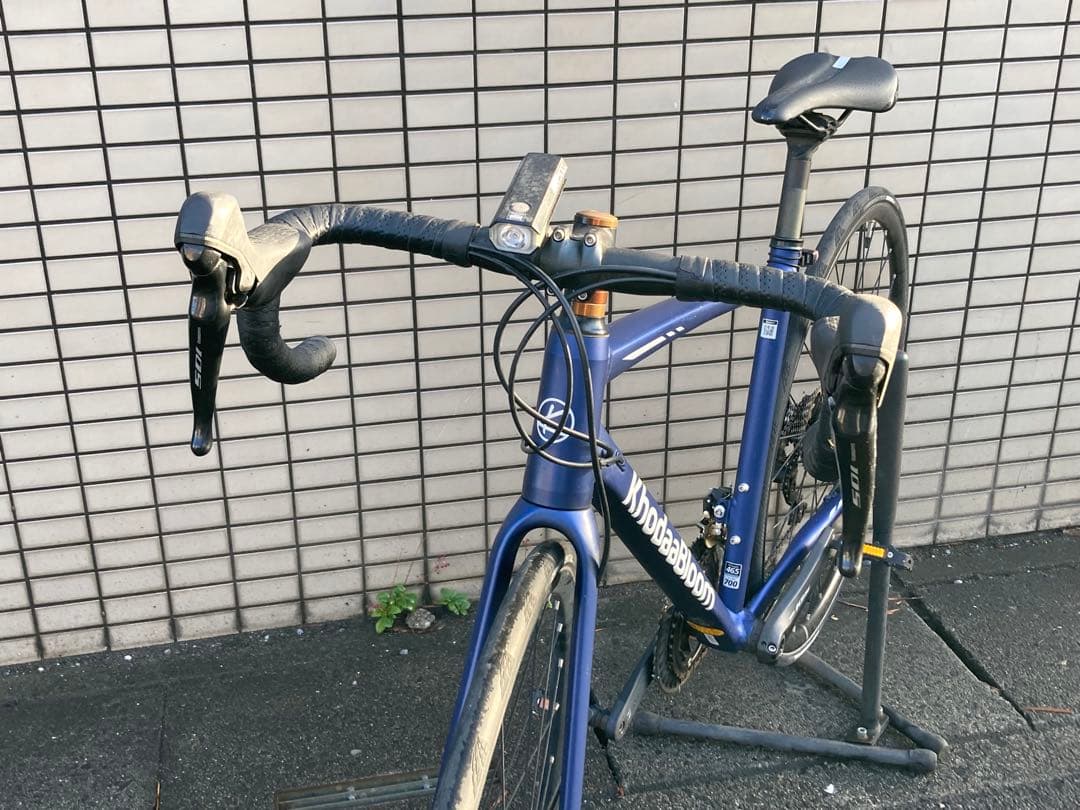送料込 コーダーブルーム KhodaaBloom FARNA DISC 105