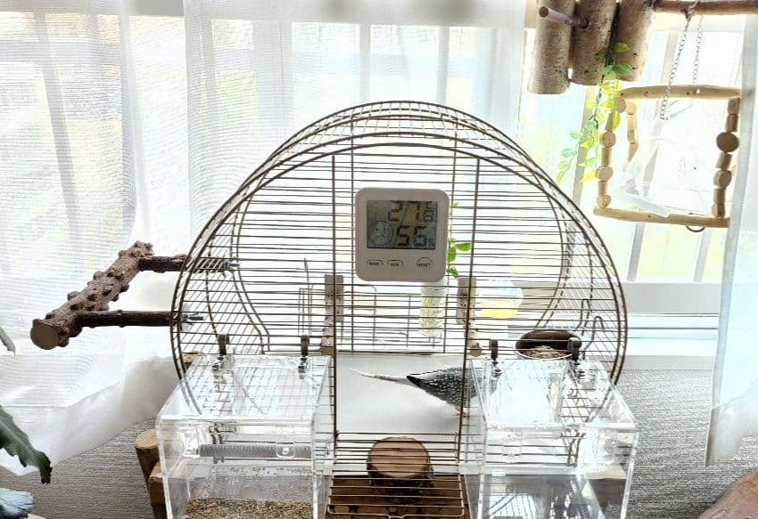 鳥かご 44.5cm x 25cm ヨーロッパ 輸入 ケージ