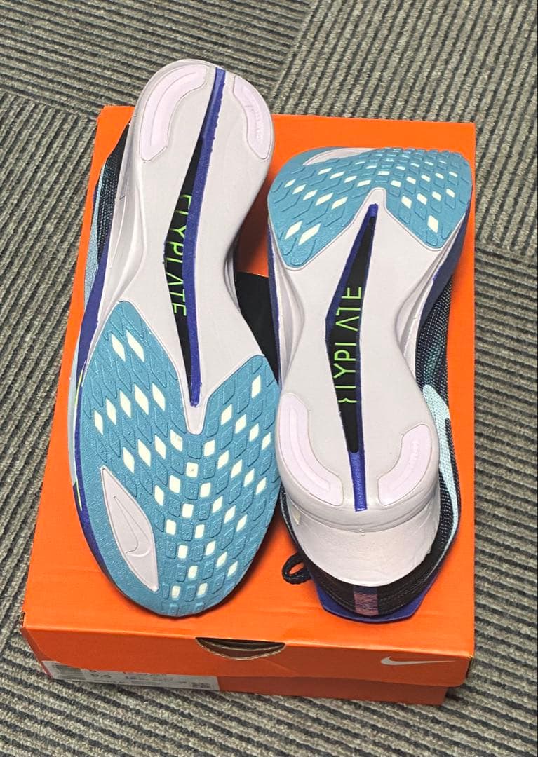 NIKE ストリークフライ2 26.0cm 新品未使用