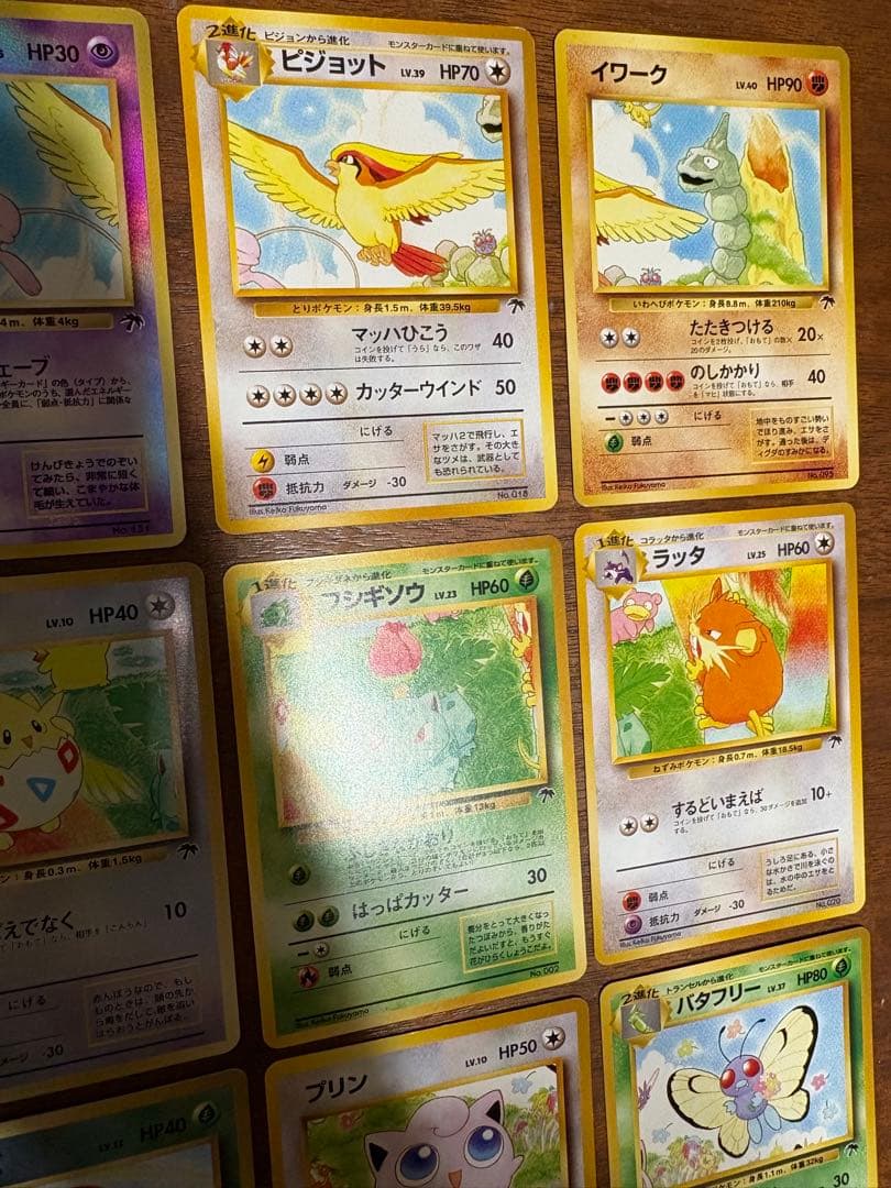 サザンアイランドコンプリートセット/ルギア爆誕の劇場プロモ ポケモンカード旧裏