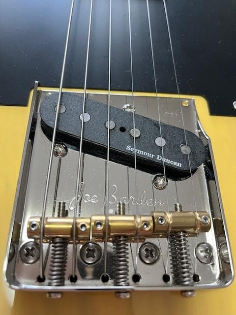 FUJIGEN NTE10M AH /OWB テレキャスター 超美品