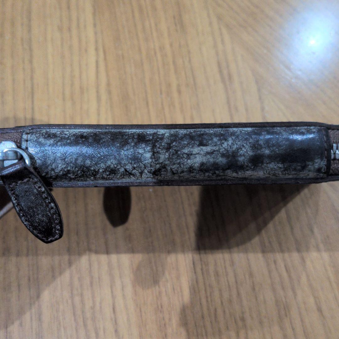 【°-°にゃくにゃく】しーさー duct　マルゴーフォグ　カスターニャ