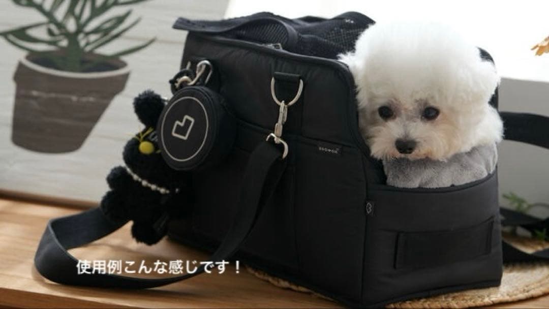 ssoook キャリーバッグ