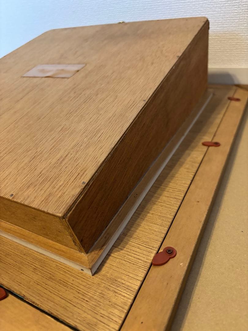 #額装標本 ニシキエビ 錦海老　伊勢海老　えび　剥製