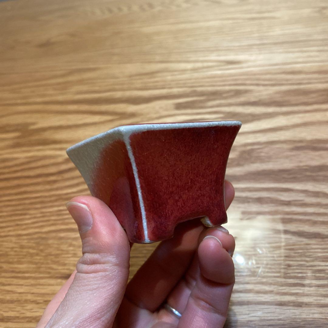 盆栽鉢　柴勝e