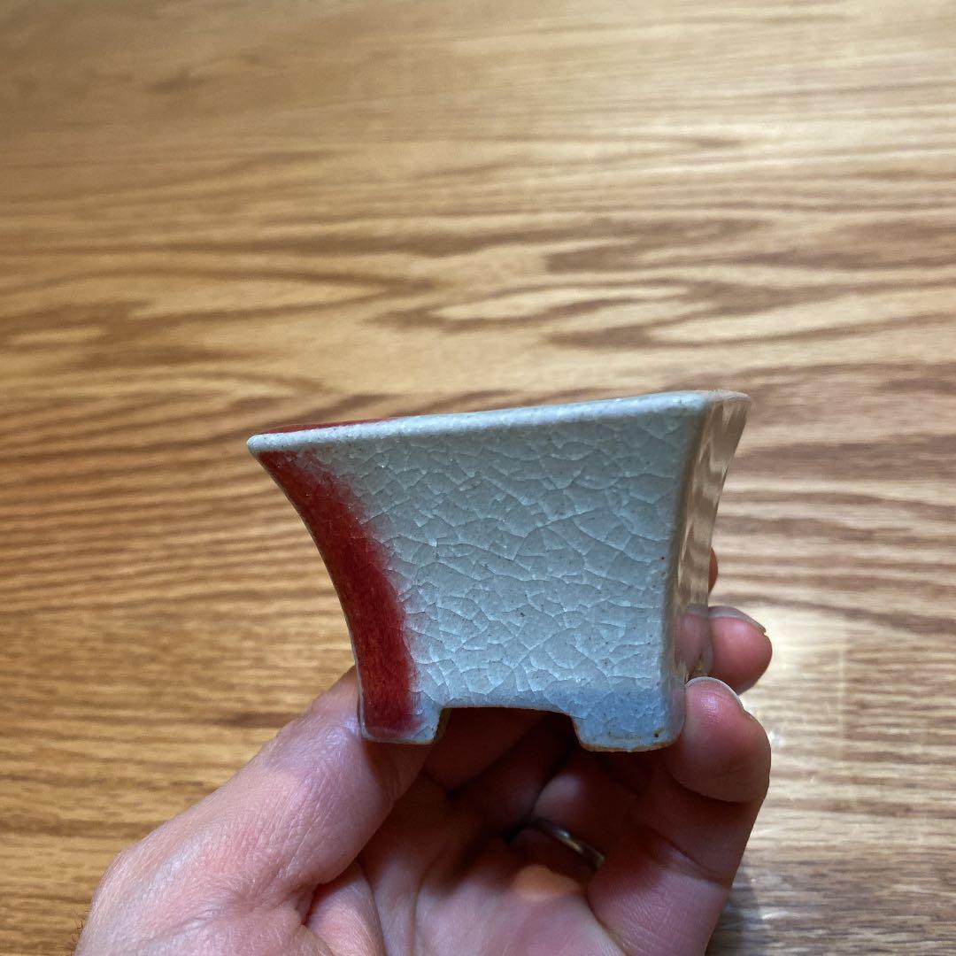 盆栽鉢　柴勝e