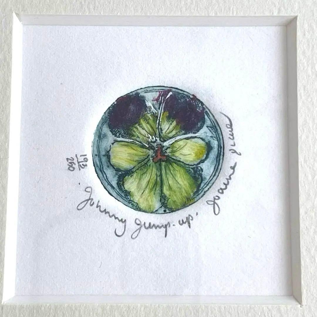 ジョアン アイザック JOANNE ISAAC HIBELL ART 絵画