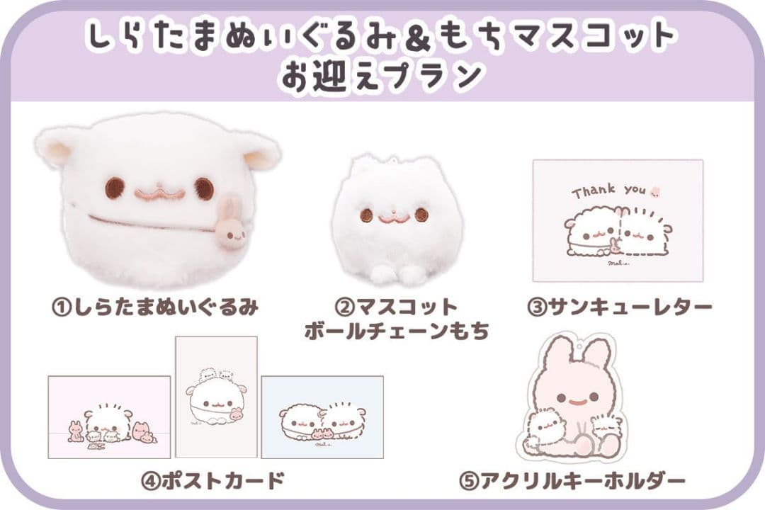ポメラニアンもち ぬいぐるみ しらたま＆もち