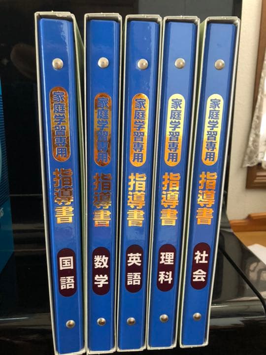 ☆値下げしました☆家庭学習専用 指導書