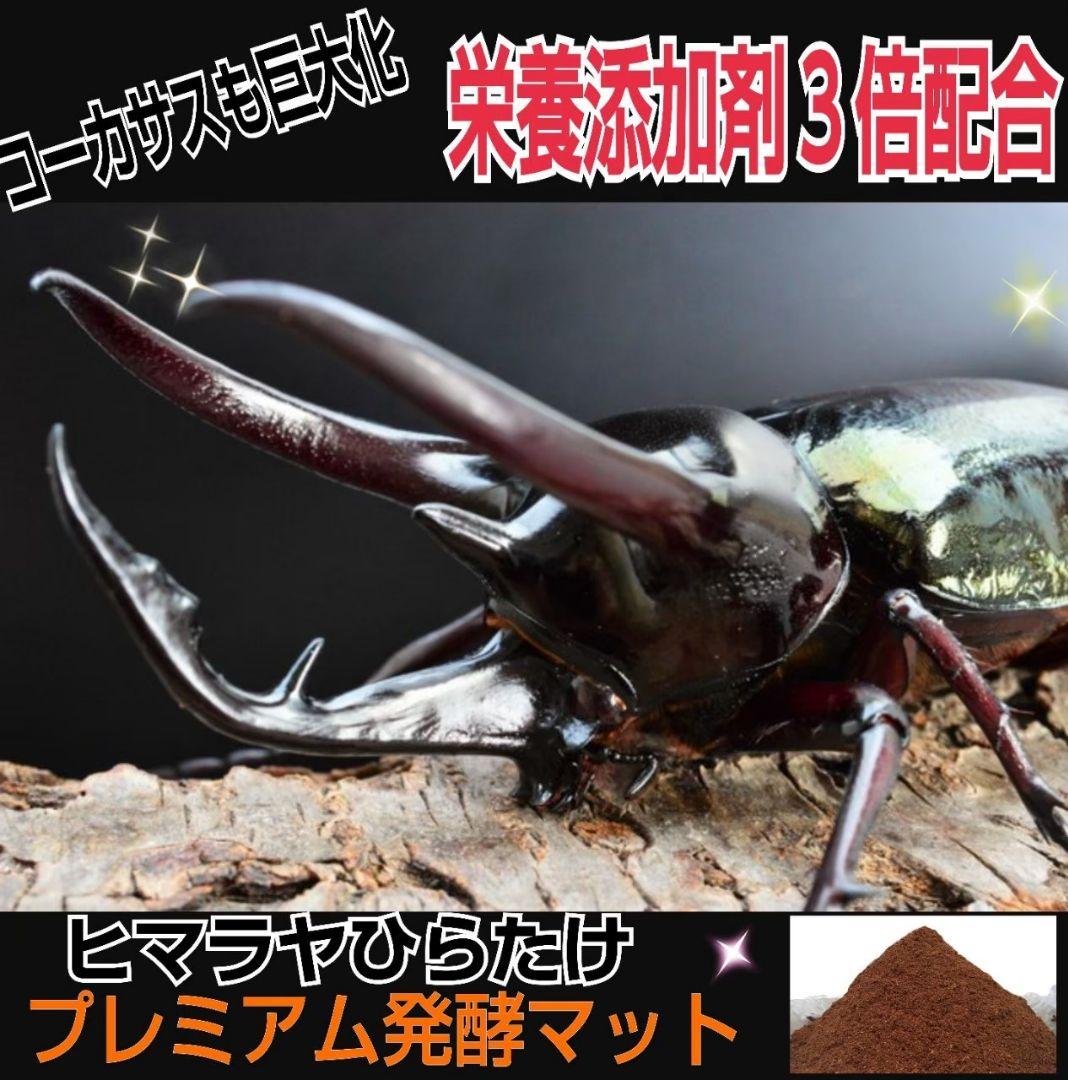 ヘラクレスが巨大化します！プレミアム発酵マット【50L】特殊アミノ酸強化配合！