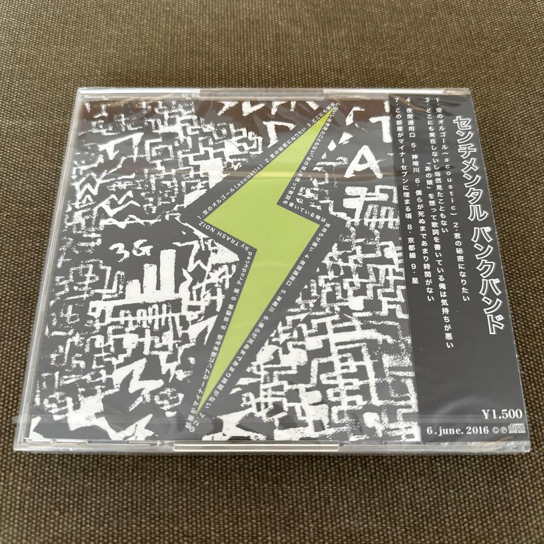トラッシュノイズ　PUNK