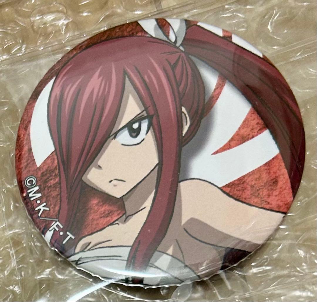 激レア　FAIRYTAIL フェアリーテイル　缶バッジ　2014年　まとめ売り