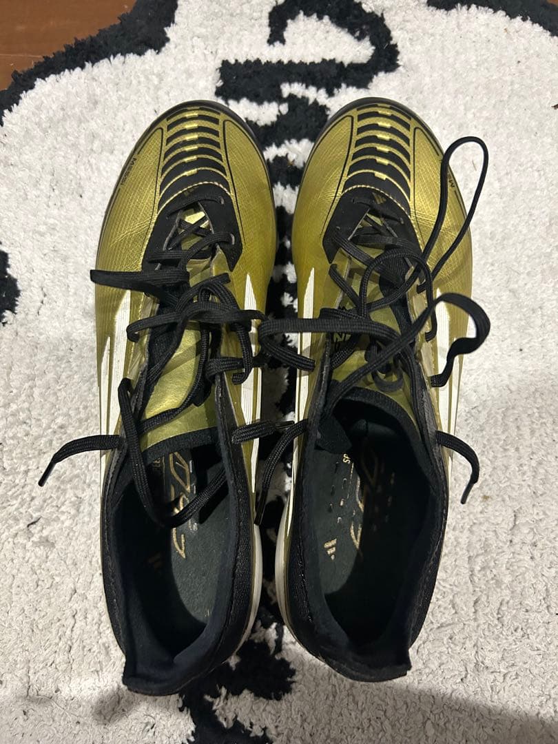 F50 メッシ