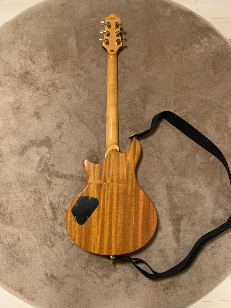 ギター esp potbelly custom