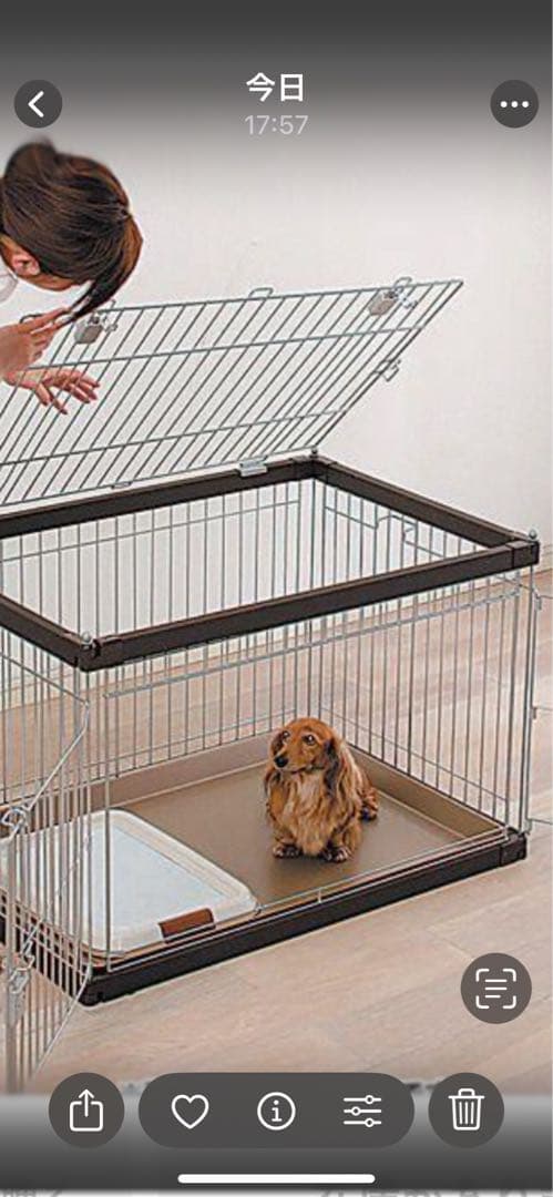 【送料込】アイリスオーヤマ 犬 ケージ ウッディサークル　アイボリー　屋根付き