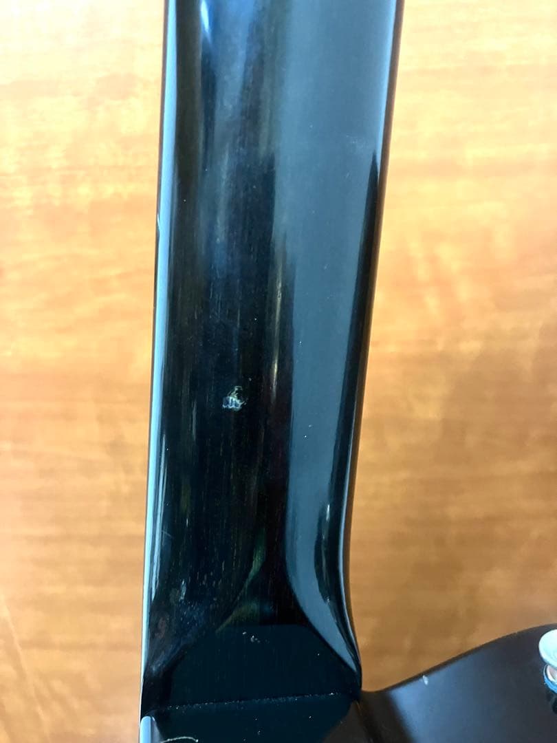 ギター Freedom C.G.R. Black Pepper