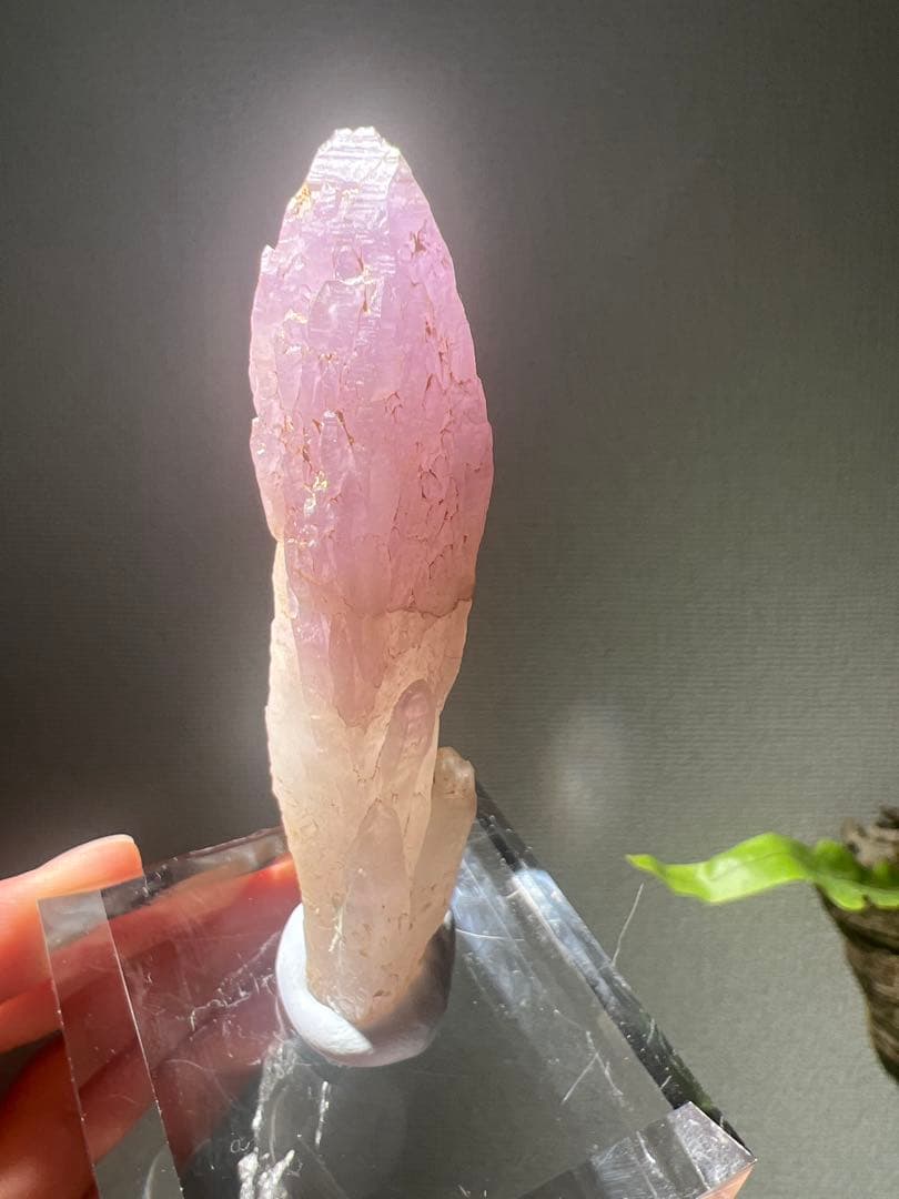 国産鉱物　富井鉱山　紫水晶