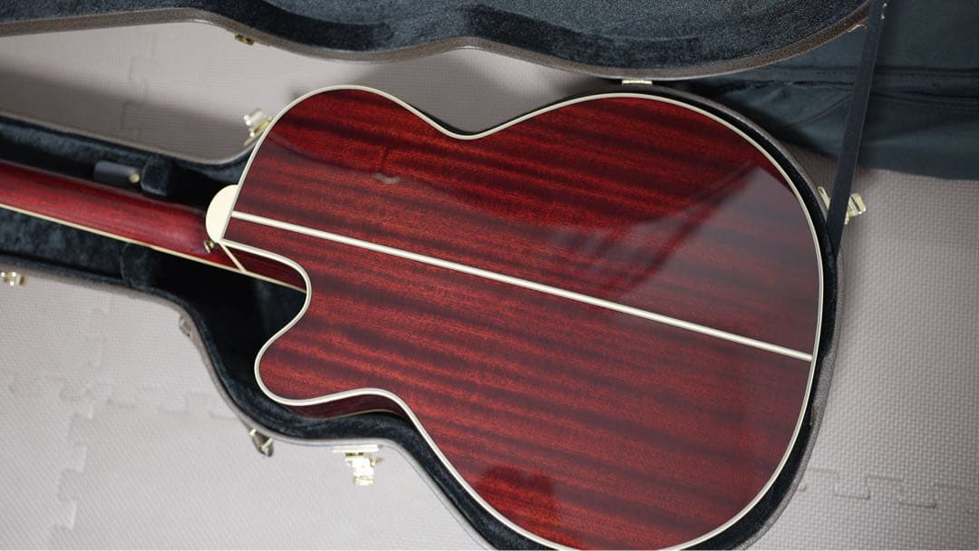 ギター Takamine DMP551C WR