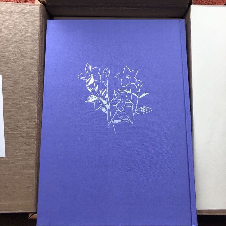 福田平八郎 作品と素描