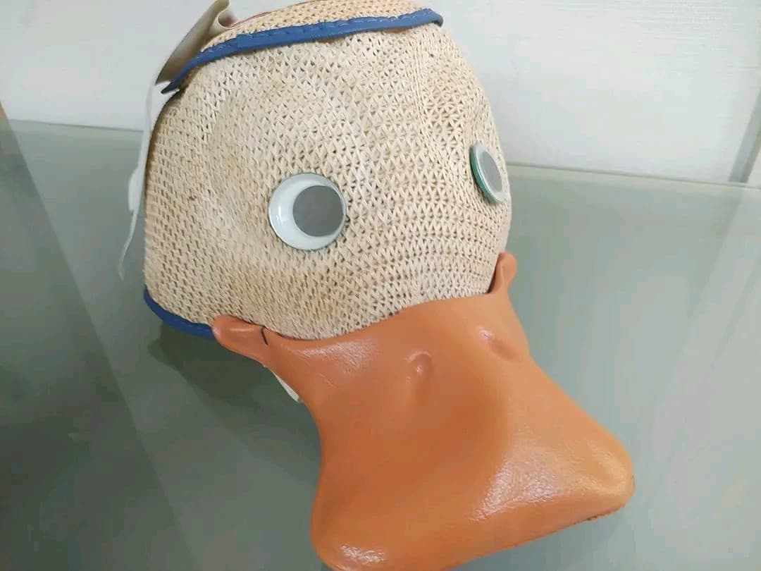 ディズニー　ミッキー ビンテージ1970年代　ドナルド帽子セット
