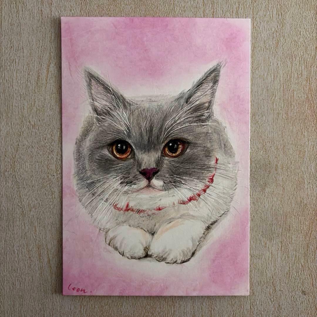 こむぎちゃん
