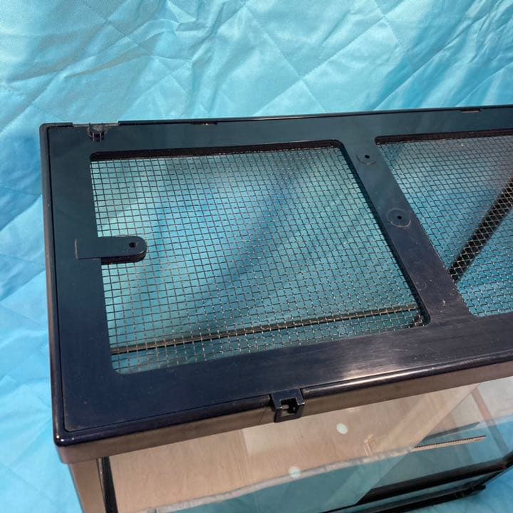 爬虫類　ゲージなど全てセット