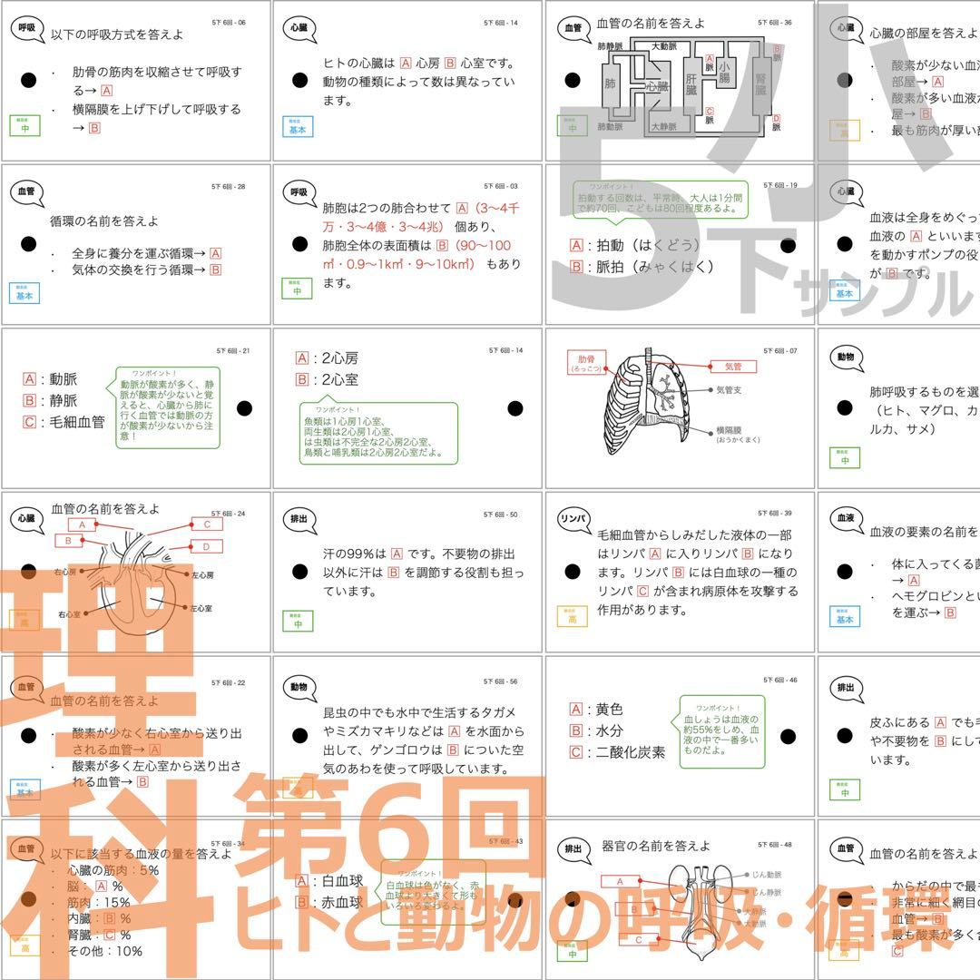 中学受験 暗記カード【5年下 社会・理科1-9回】 予習シリーズ 組み分け対策