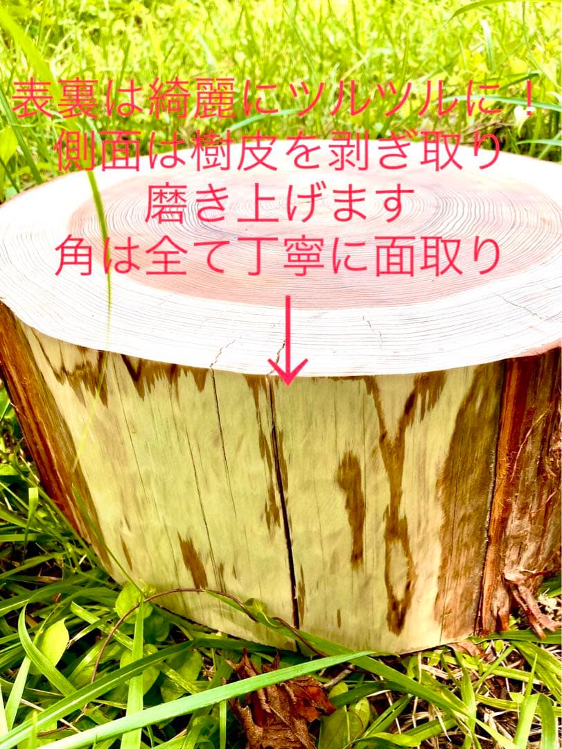 完売　オーダー受付中！天然杉/超特大サイズ！【森を感じられる切り株テーブルなど】