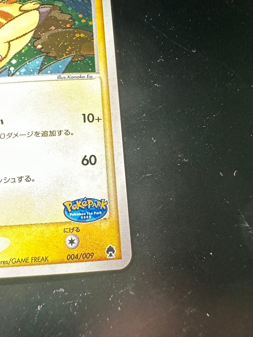 ポケパークのピカチュウ　プレミアムファイル