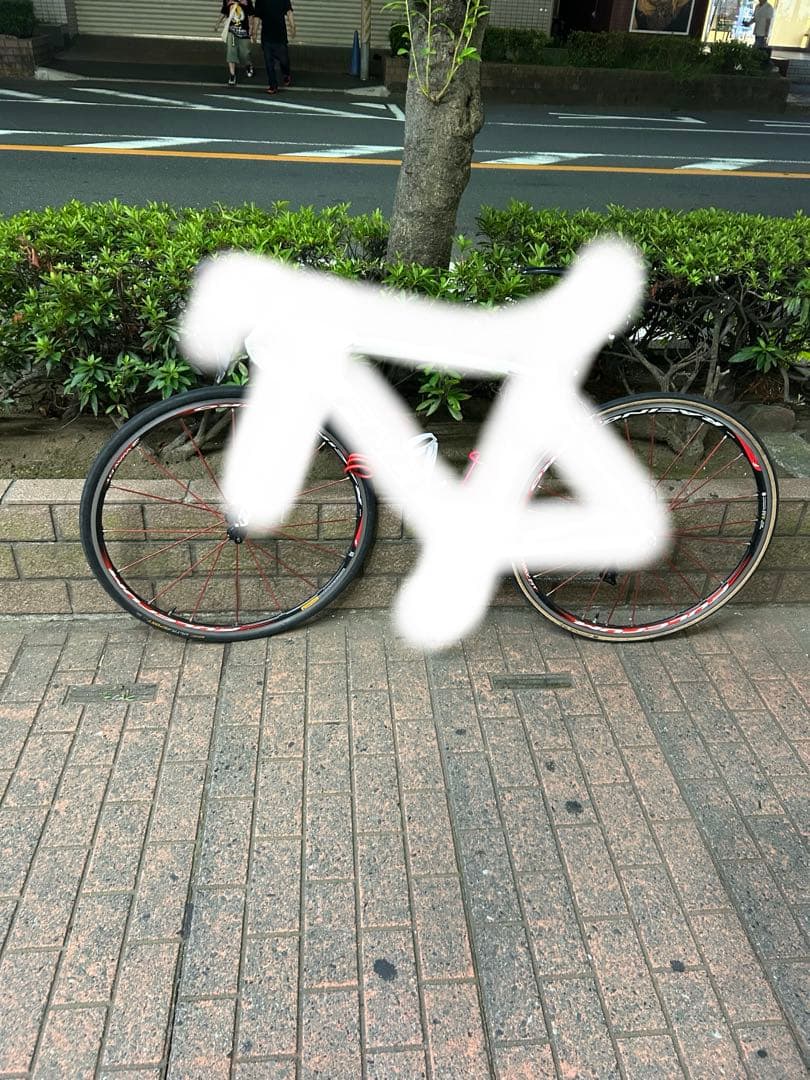 専用出品