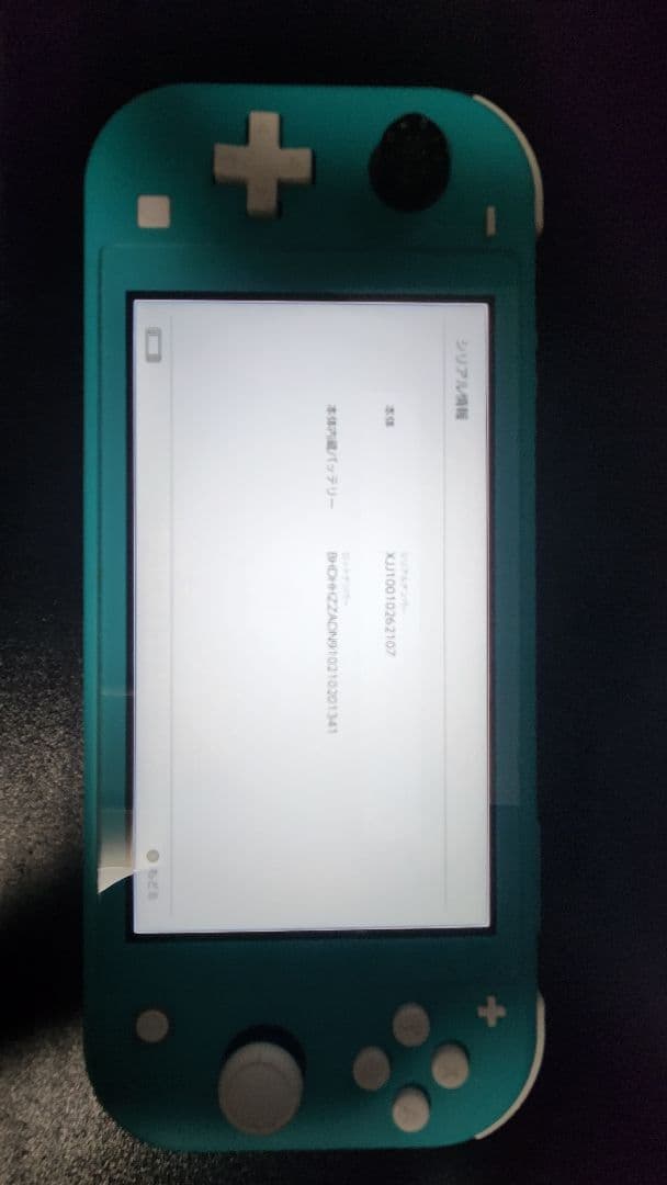 Nintendo Switch Lite ピンクのみジャンク