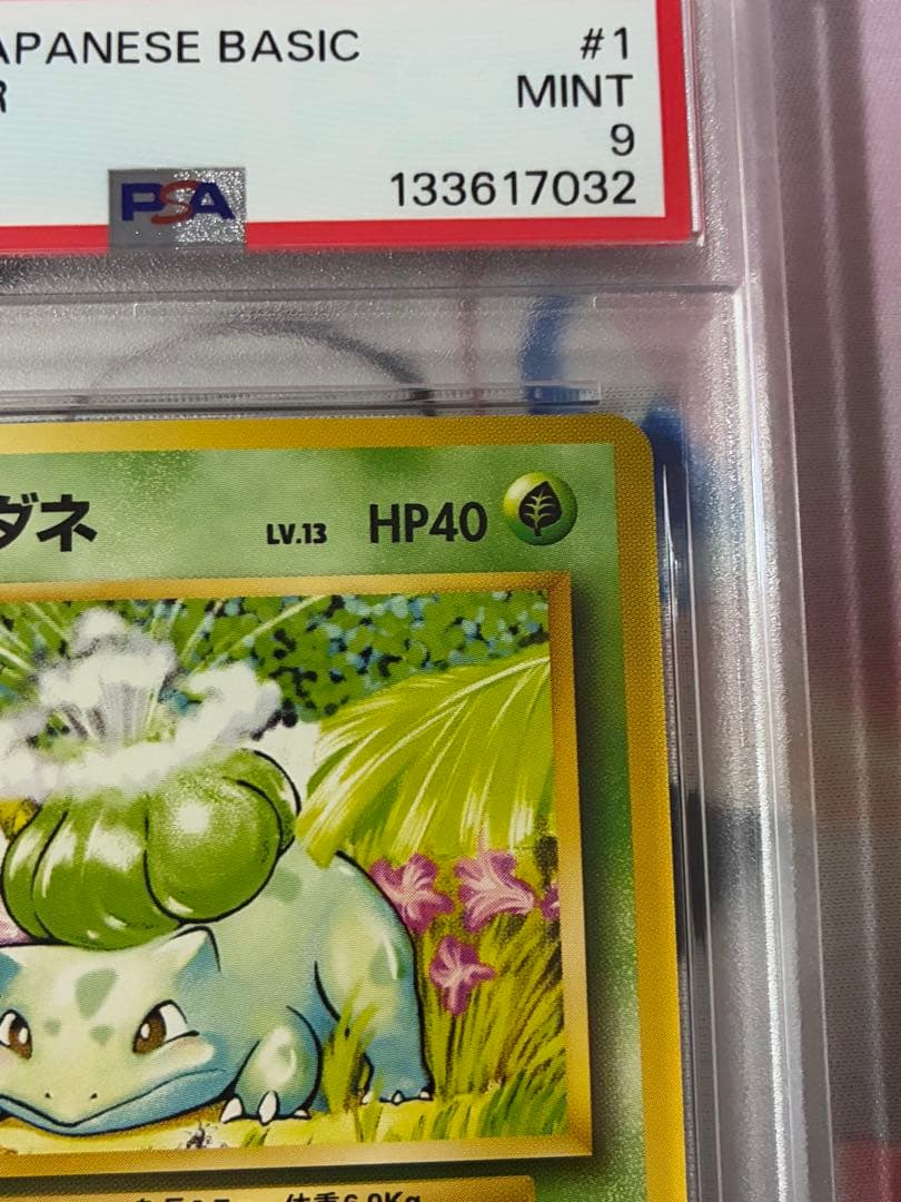 PSA9☆ 旧裏 フシギダネ マーク有り