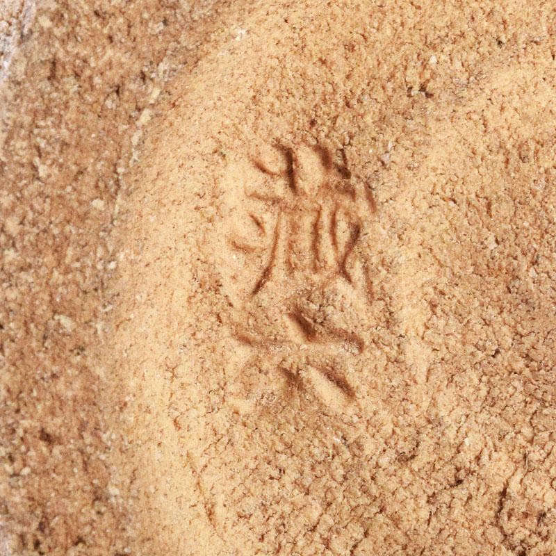 茶道具　二代　真清水蔵六作　立鶴文　茶碗　共布　三代　蔵六識箱　C　R9029