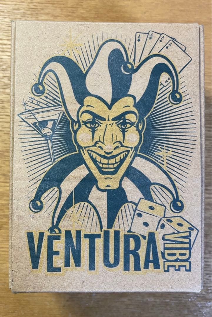 Digi Tech VENTURA VIBE ギターエフェクター