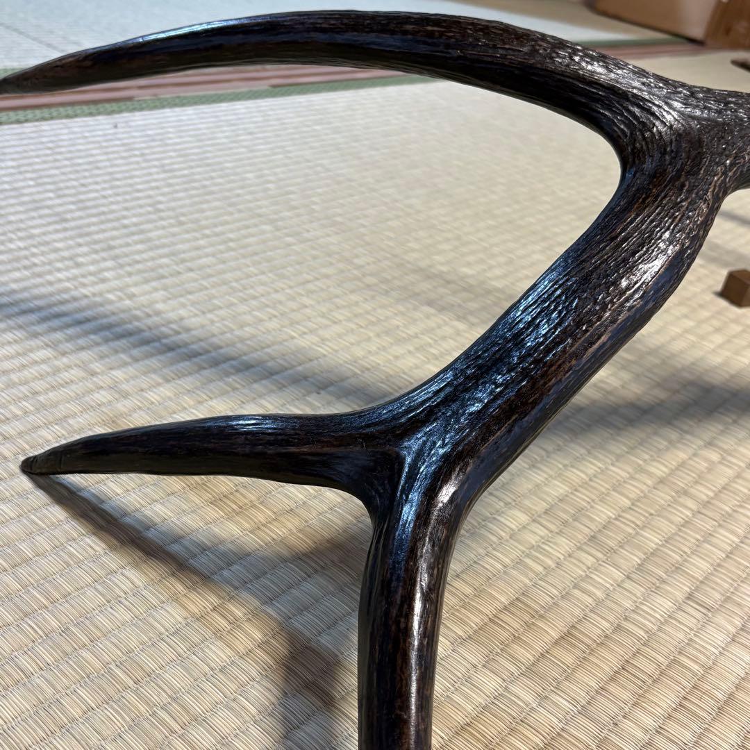エルク　アカシカ　角　標本