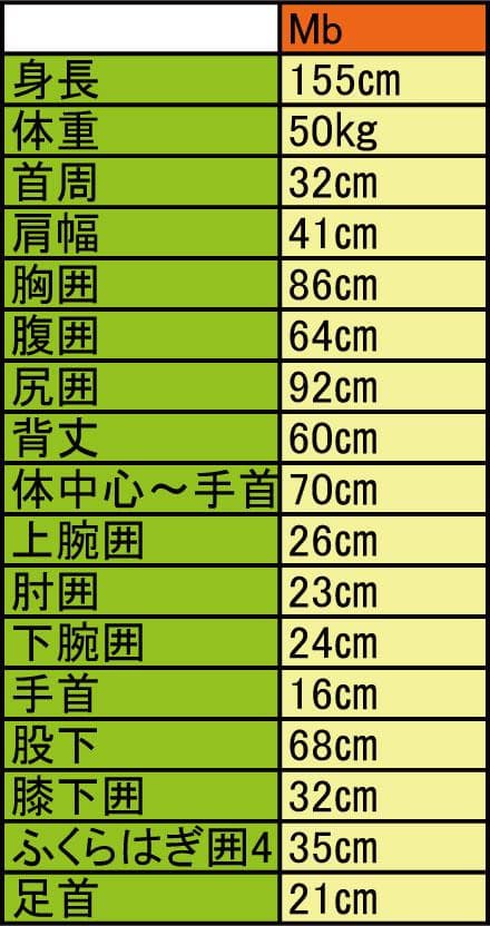 国内生産/ALL3mロングジョン /クラッシックスタイル/レディースMbサイズ