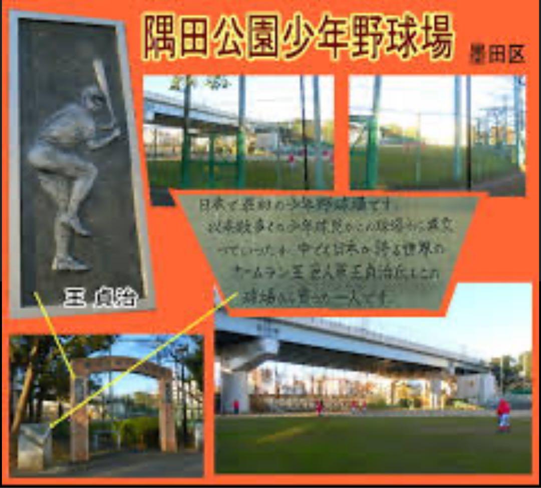 【王選手が育った日本最初の少年野球場】隅田公園少年野球場の石10個セット