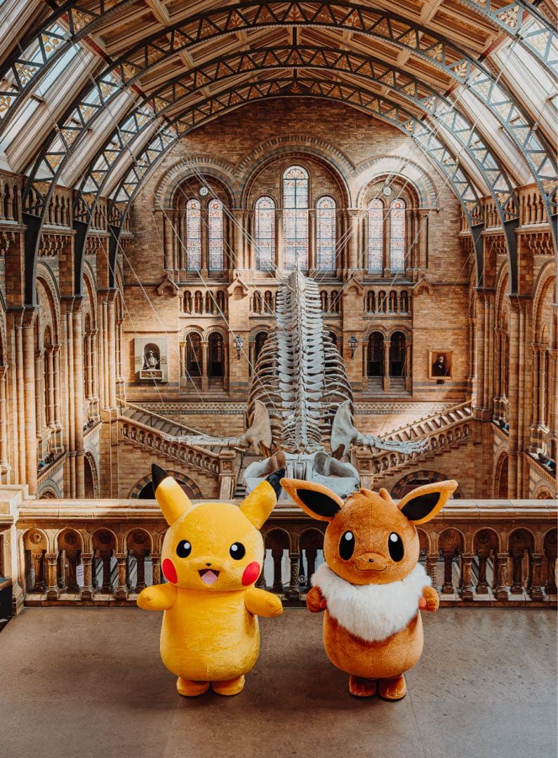 10枚 ピカチュウ Pikachu at the Museum プロモ 博物館