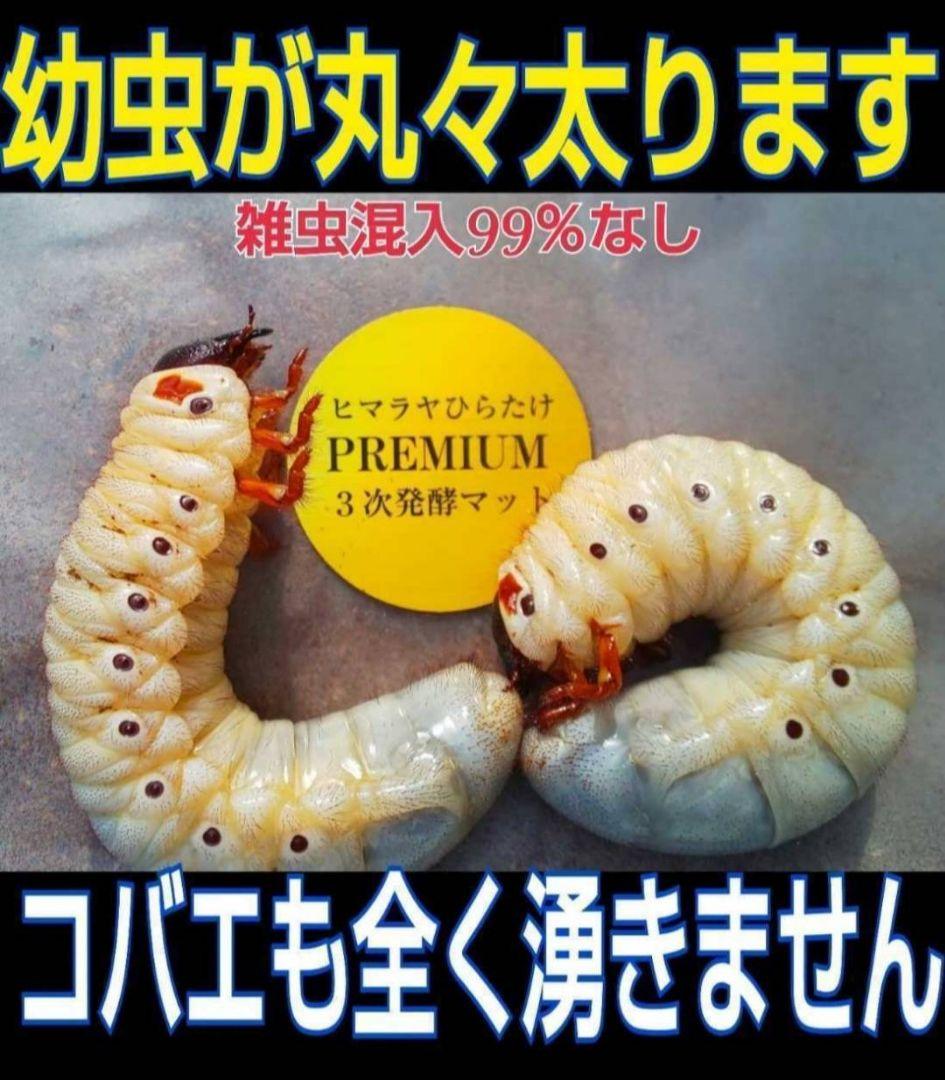 ヘラクレス幼虫が大きくなる！プレミアム3次発酵マット【60リットル】産卵にも抜群