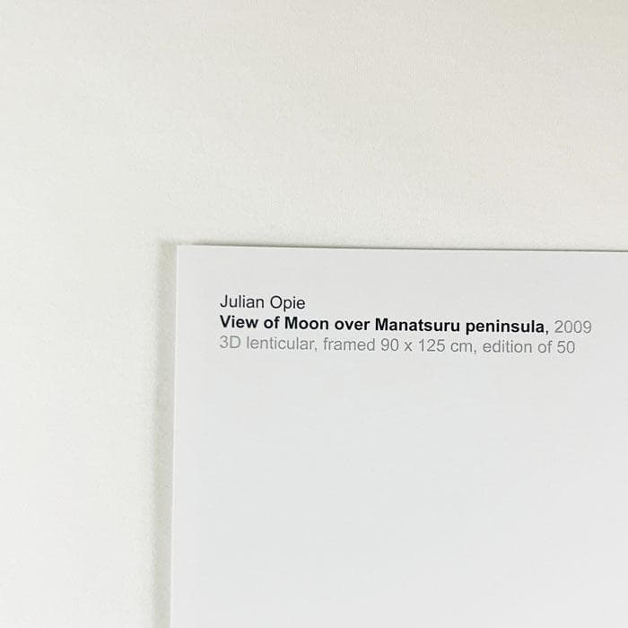 限定マット額装品/View of Moon/ジュリアン・オピー