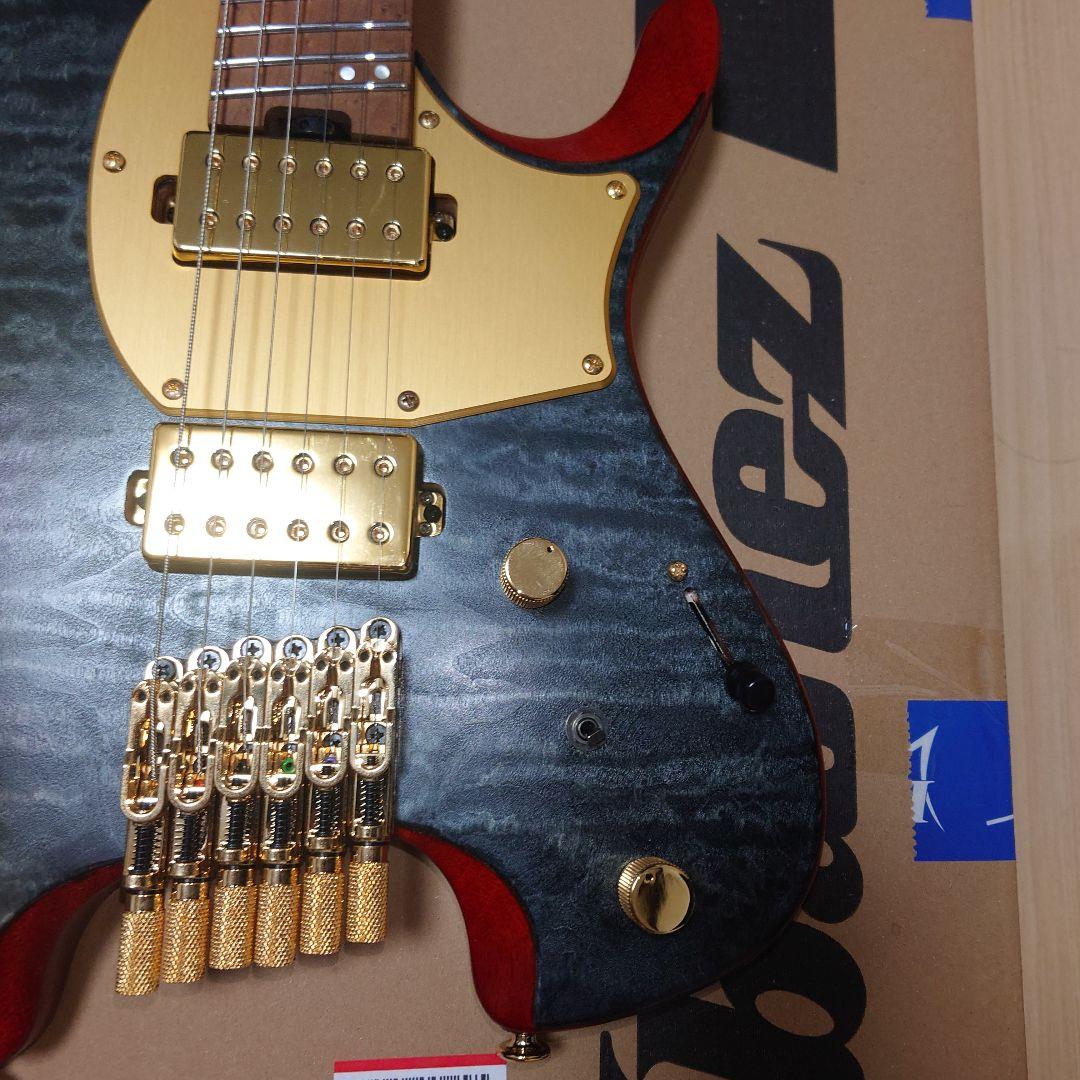 ギター Ibanez MGFM10 Manuel Gardner Fernandes