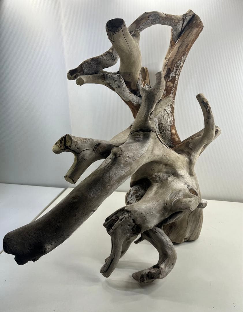 W21特大流木 アク抜き済み流木 爬虫類シェルター 止まり木 バードアスレチック