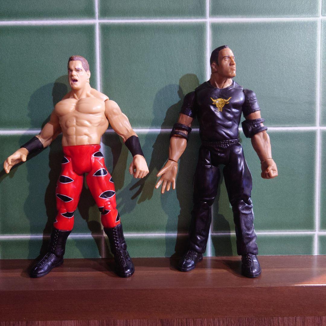 貴重　WWE WWF WCW nWo プロレスフィギュア　23体　まとめ売り