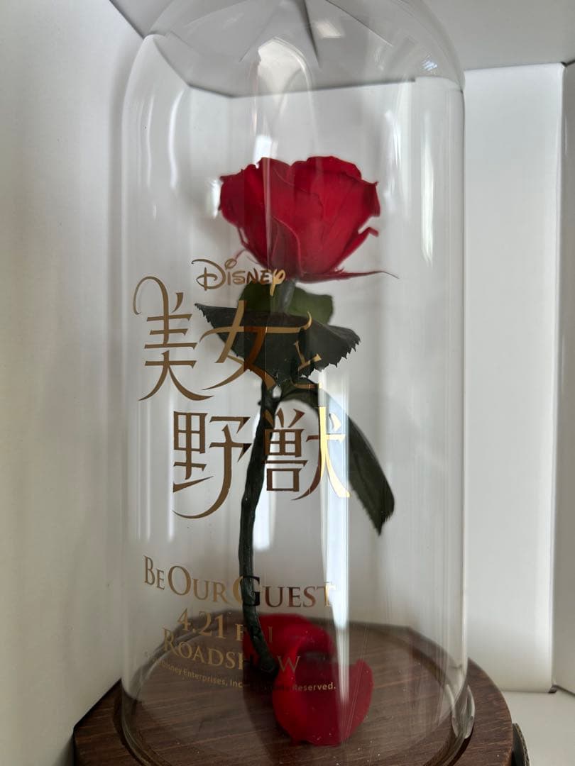 美女と野獣　プリザーブドフラワー　非売品　薔薇