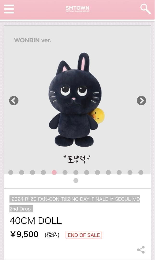 アイドル 40CM DOLL WONBIN