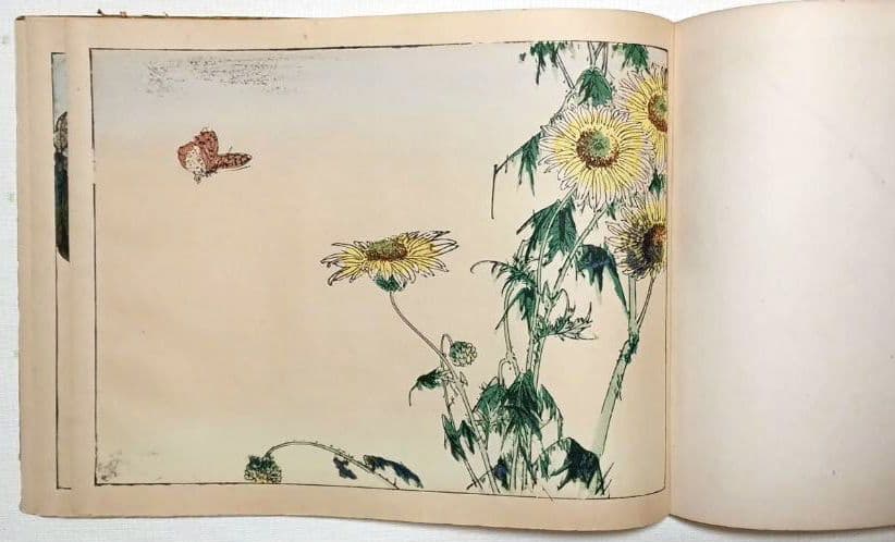 稀省亭版画花鳥画帖12図柄入り渡辺省亭画、明治後期頃芸艸堂出版